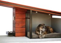 Dog Haus Pet Inspired Home Decor